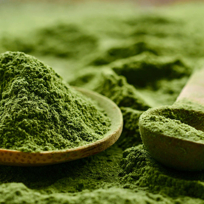 How To Choose A Greens Powder Supplement